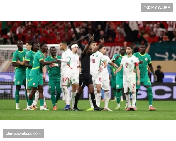 塞内加尔替补门将迪乌夫谈非洲杯决赛毛巾事件